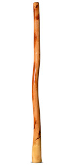 Ironbark Didgeridoo (IB293)